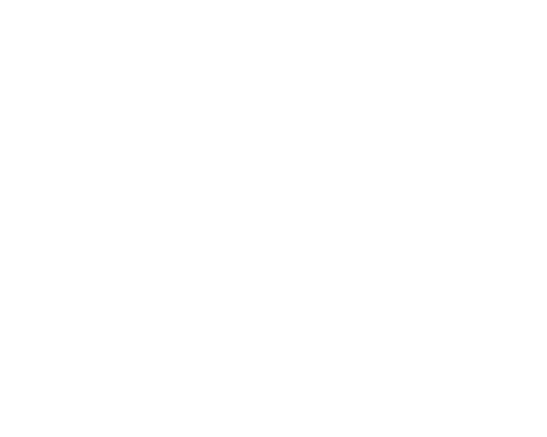 Guardian Firestop Solutions